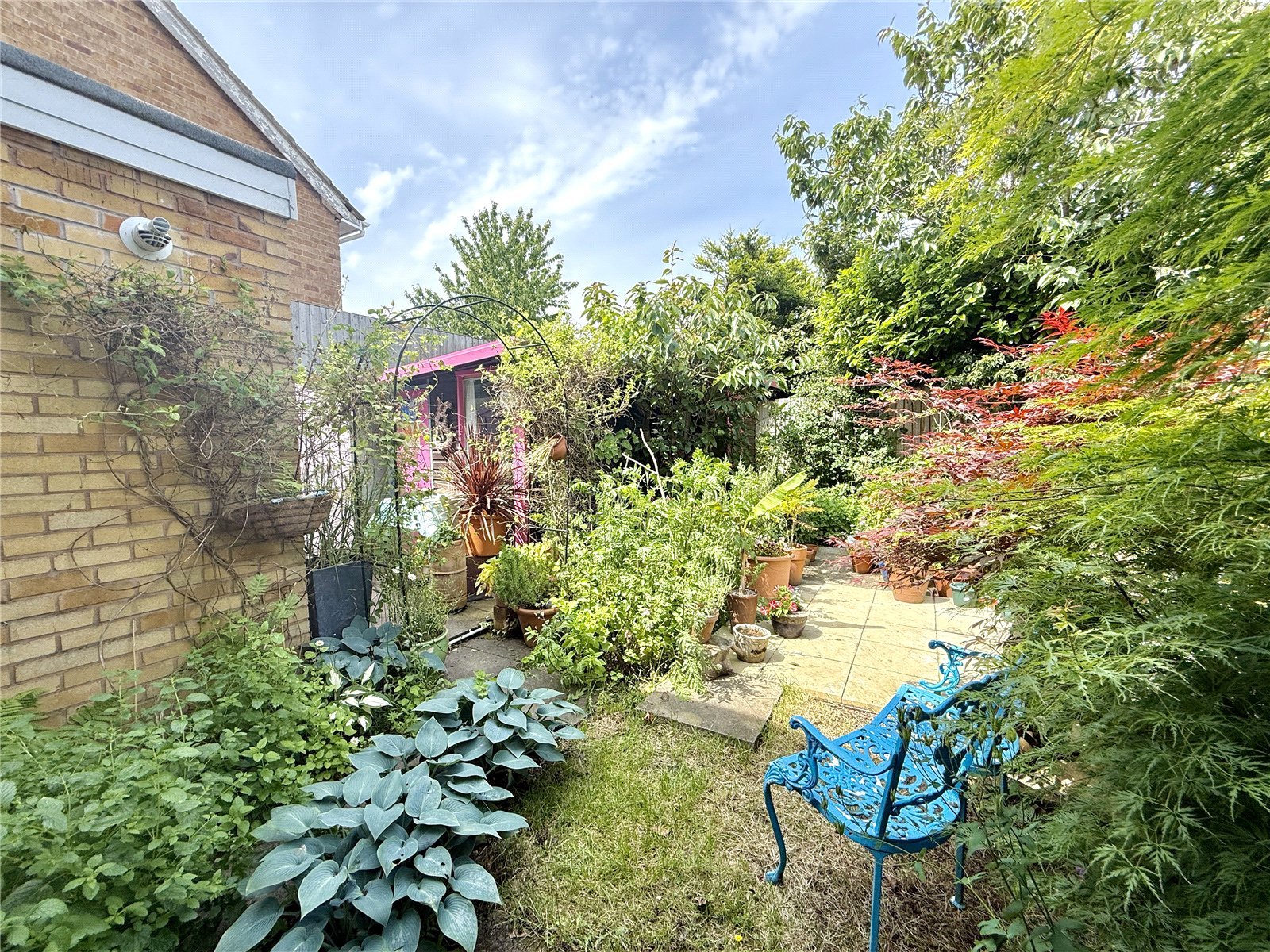 Garden