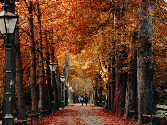 Autumn Property Market Update: A Positive Outlook for the Northwest
