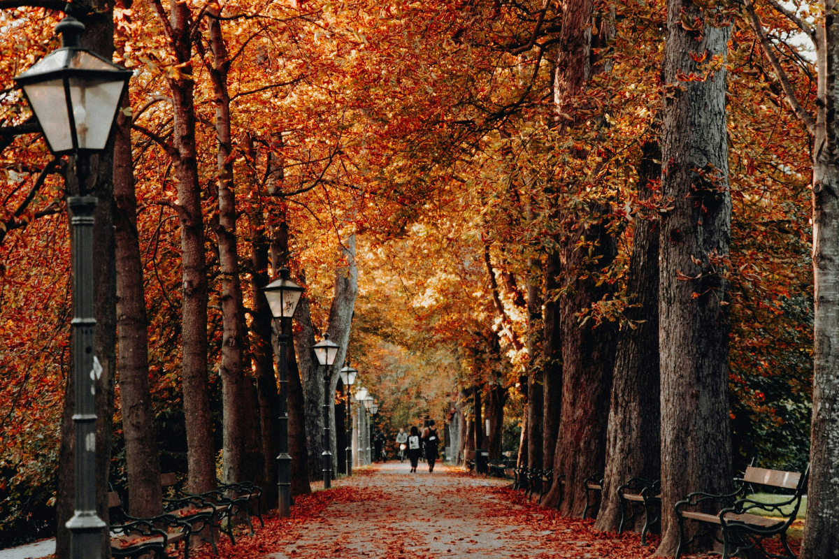 Autumn Property Market Update: A Positive Outlook for the Northwest